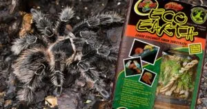 23371 peat moss