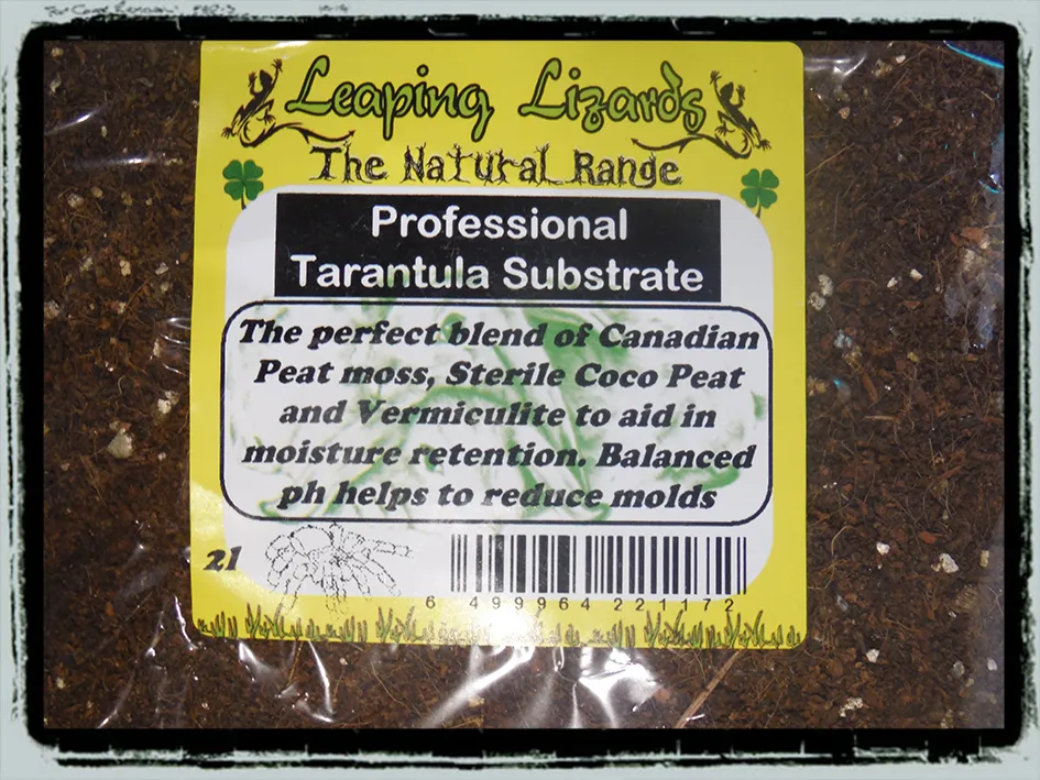 23371 tarantula substrate setup