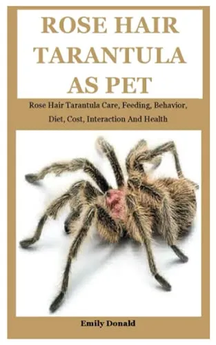 23374 drawing rose hair tarantula sketch