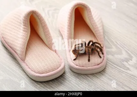 23390 tarantula spider slippers materials