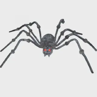 /img/23390-tarantula-spider-slippers-storage.webp