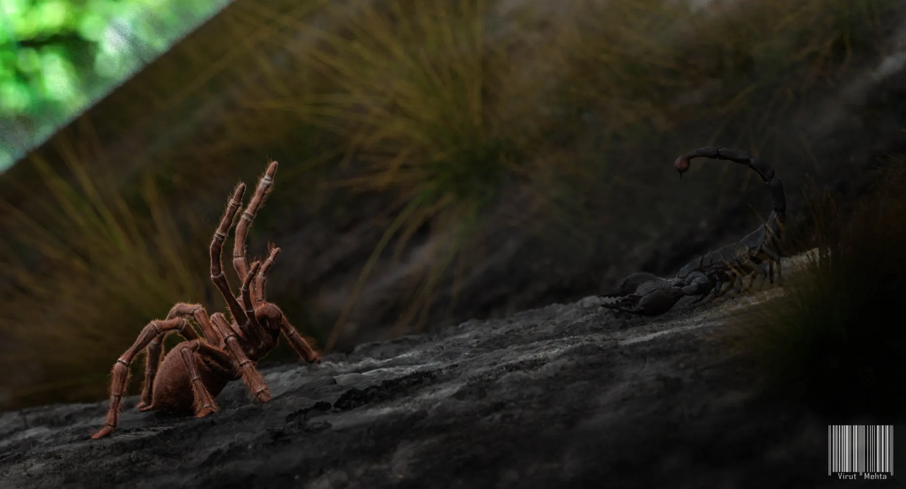 23401 scorpion and tarantula battle