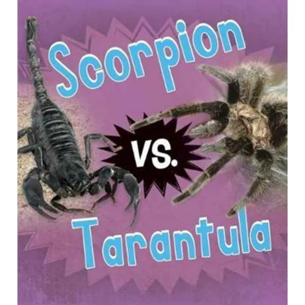/img/23401-scorpion-close-up.webp
