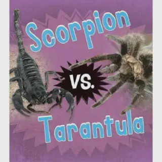 /img/23401-scorpion-close-up.webp