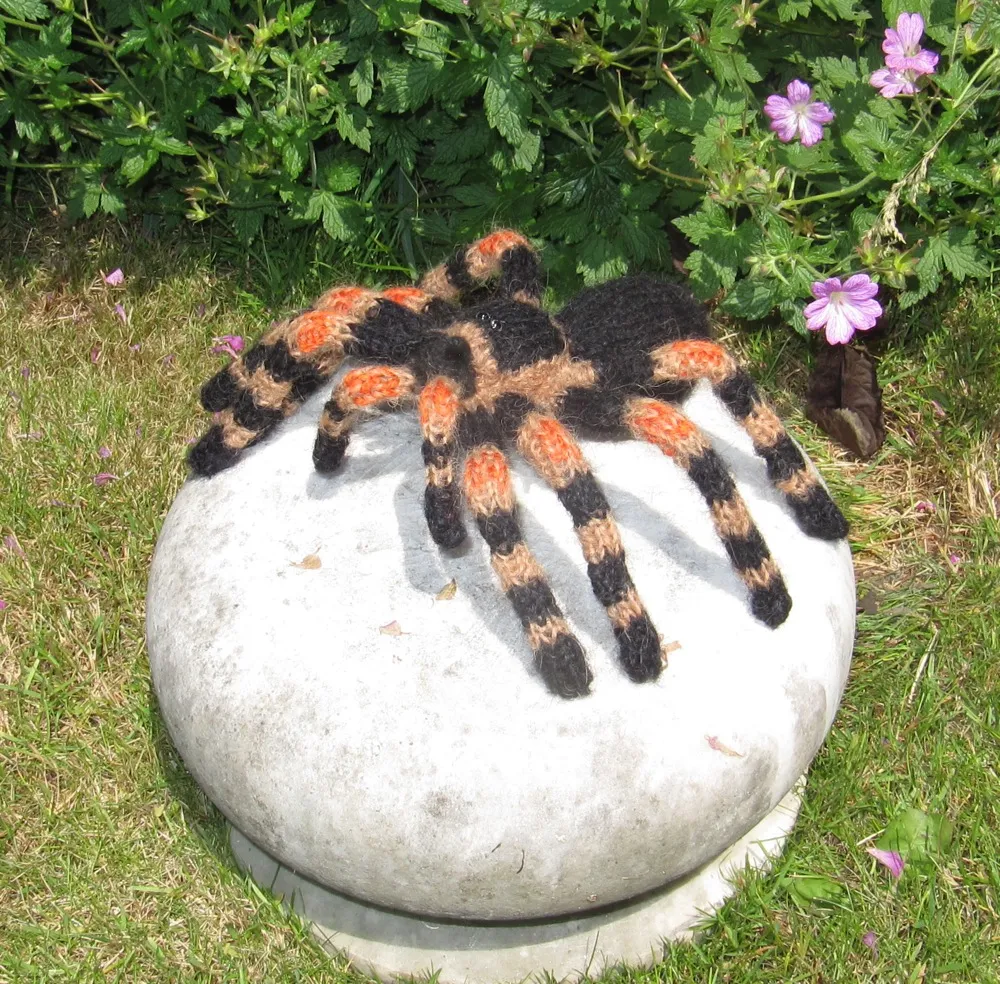 23413 tarantula enclosure