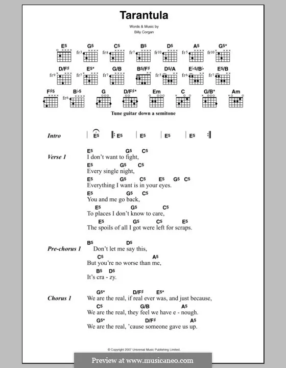 23414 tarantula bass and drums