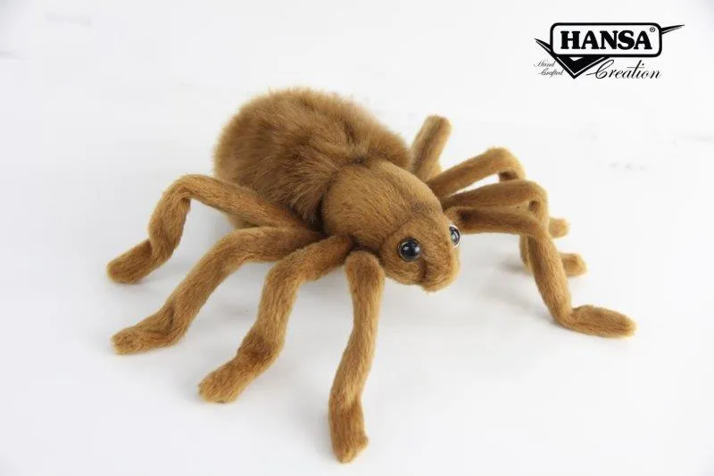 23428 tarantula pet