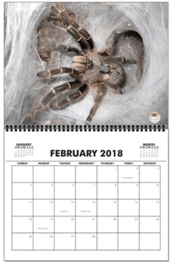 23429 tarantula island weather