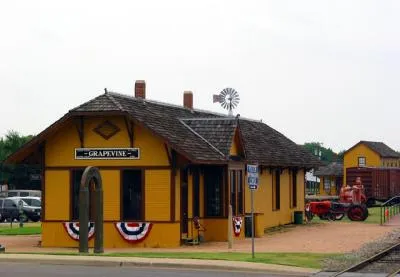 23432 tarantula train attractions