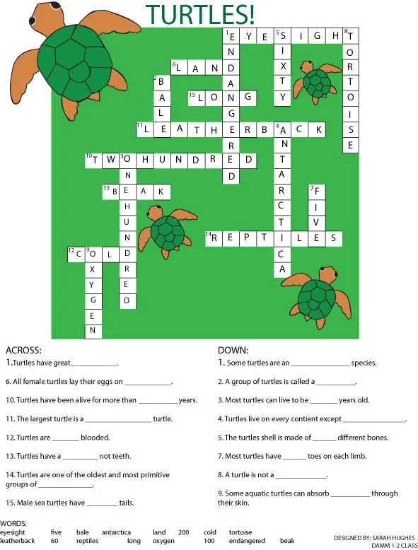 23434 brain teaser