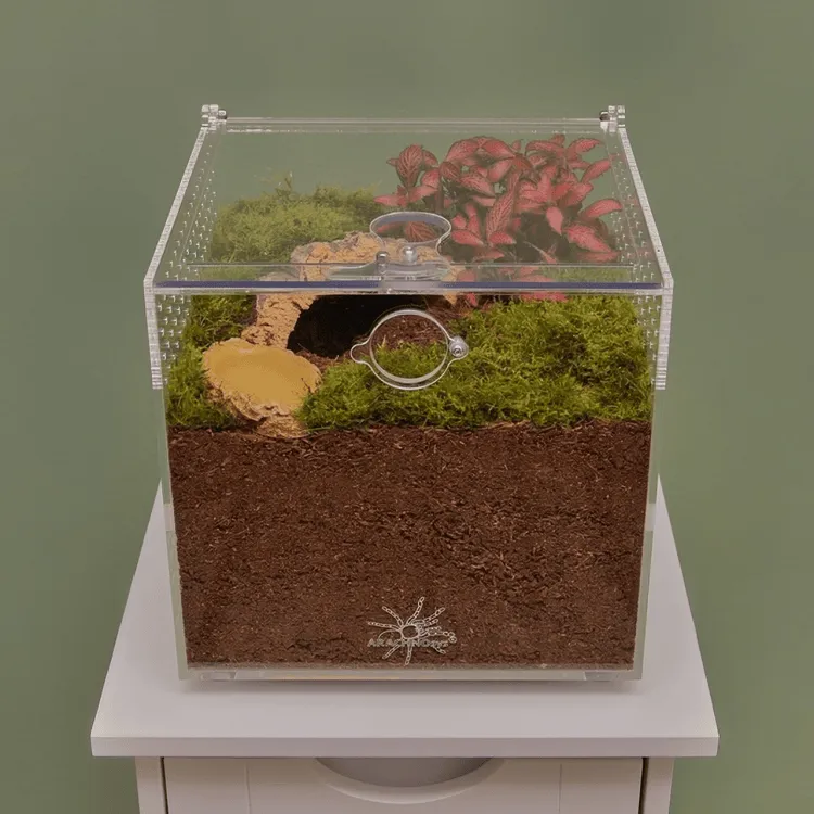 23438 horizontal tarantula enclosure