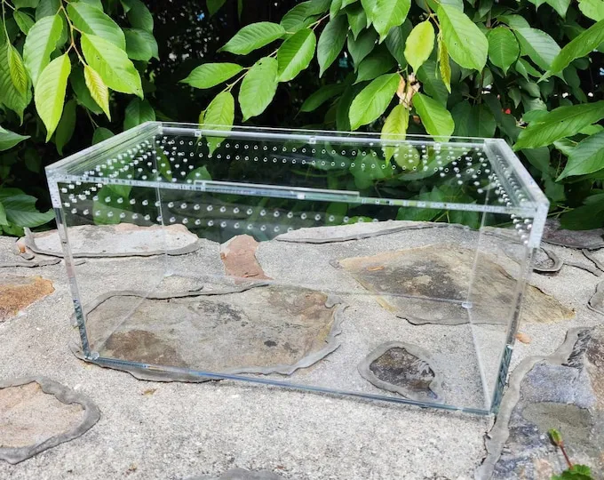 /img/23438-tarantula-enclosure-cleaning.webp