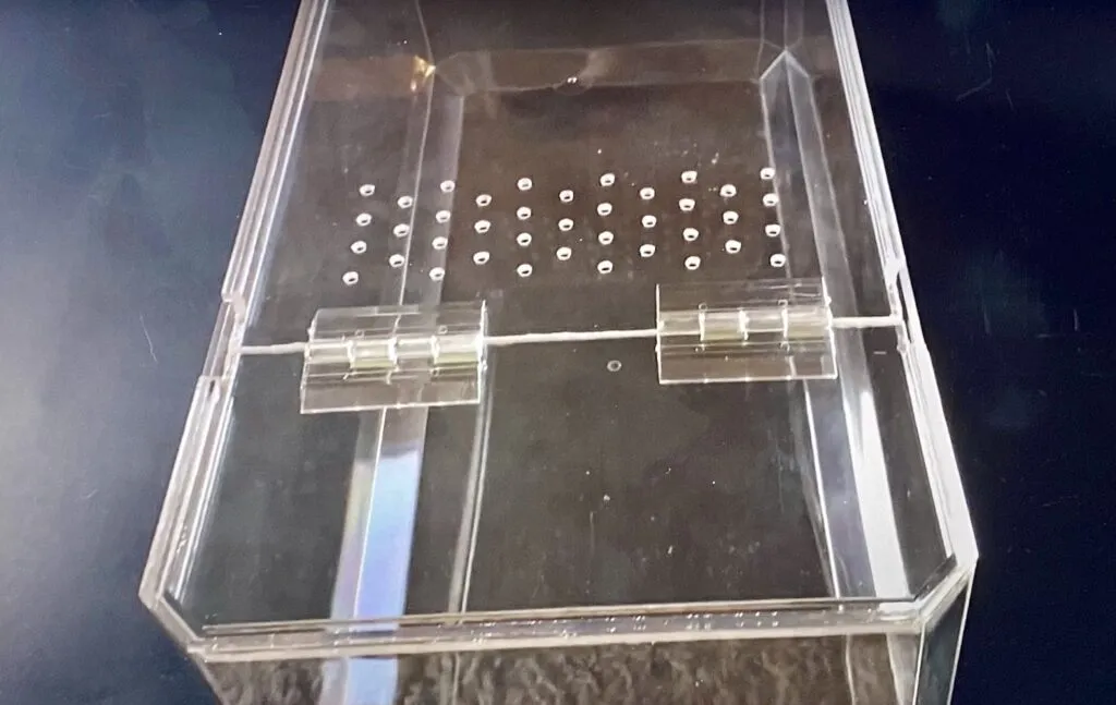 23438 tarantula enclosure ventilation