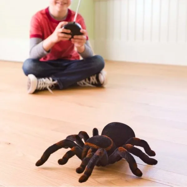 23441 chad valley tarantula playing