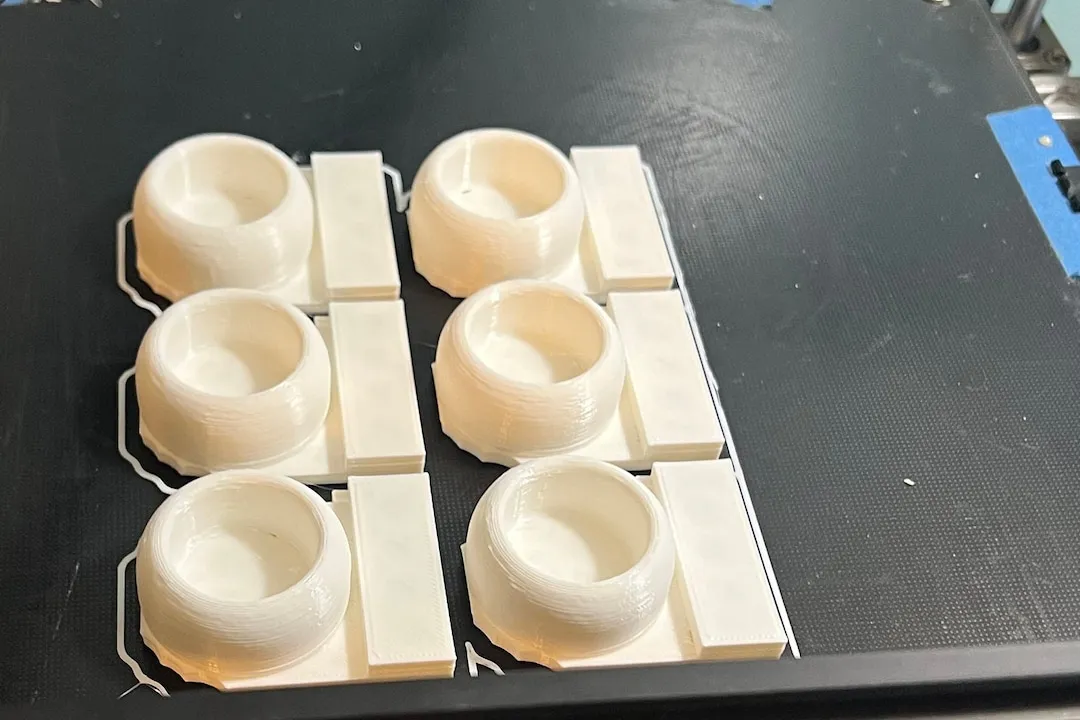 23442 cleaning tarantula tank