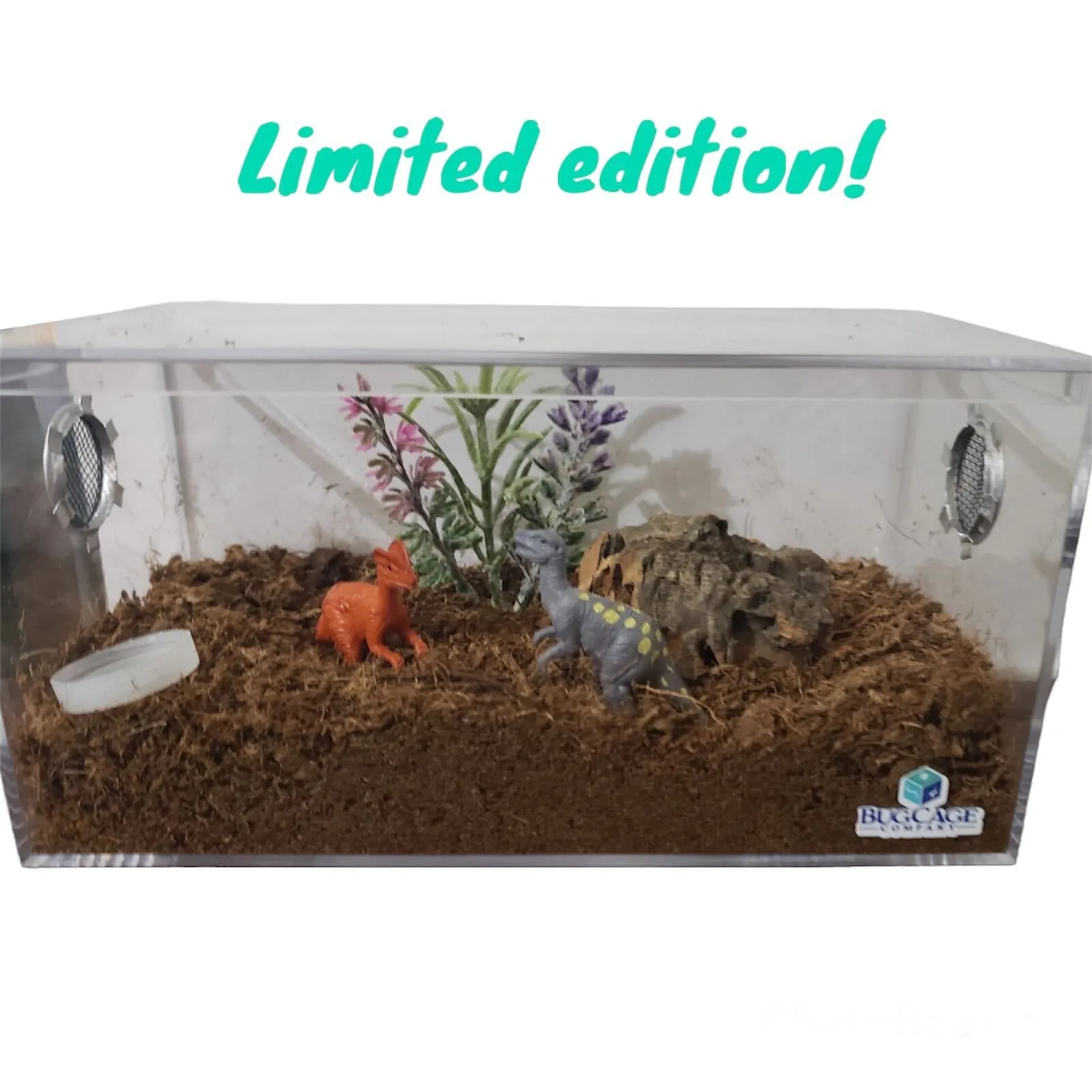 23450 tarantula cage size