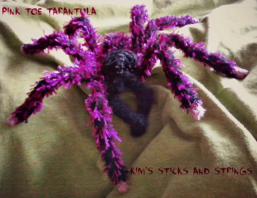 23456 pinktoe tarantula habitat
