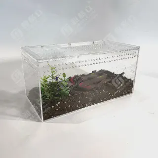 /img/23461-tarantula-tank-acrylic-decorating.webp
