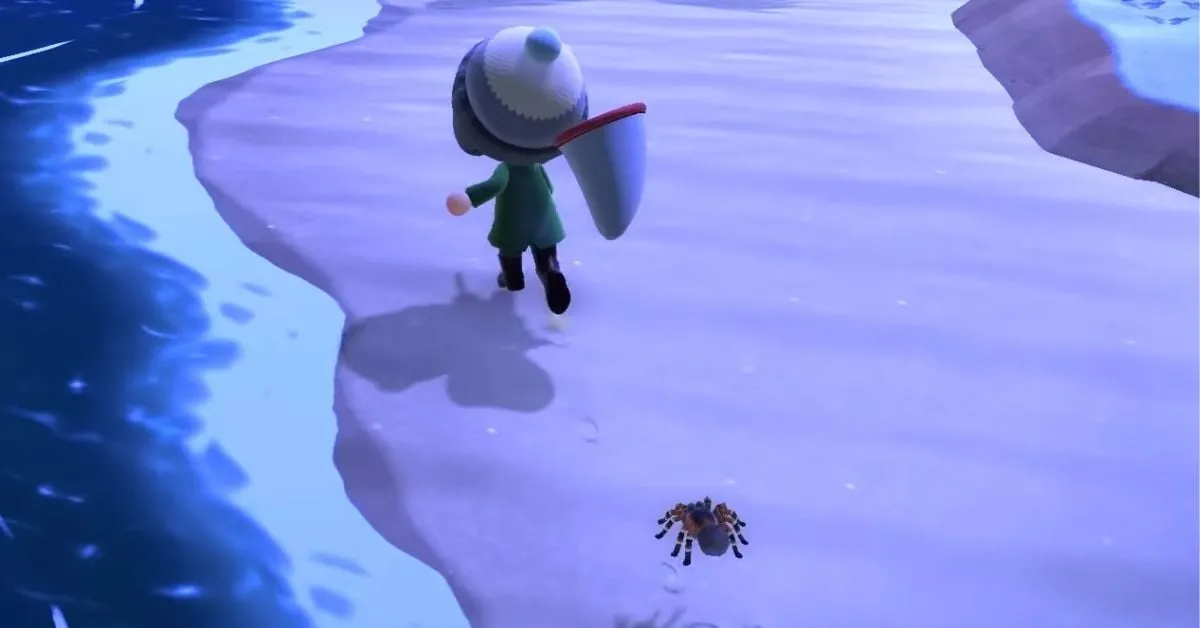 /img/23480-animal-crossing-tarantula-selling.webp