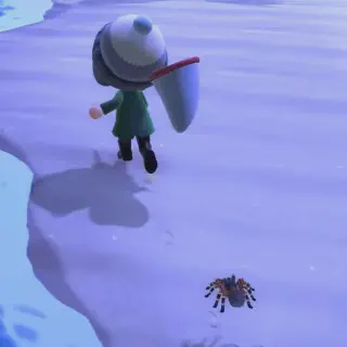 /img/23480-animal-crossing-tarantula-selling.webp