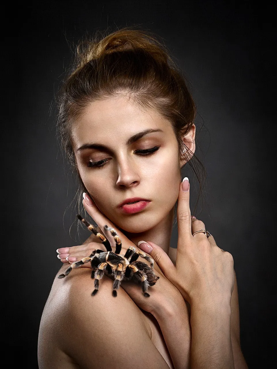23481 tarantula hydration