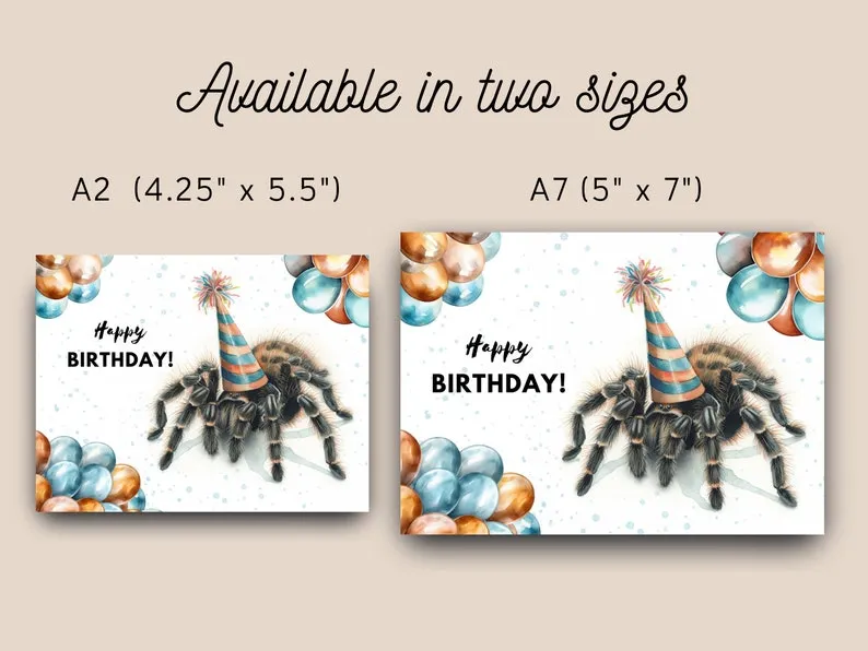 23485 tarantula enrichment ideas