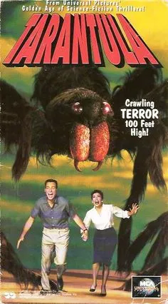 /img/23488-tarantula-game-family-fun.webp
