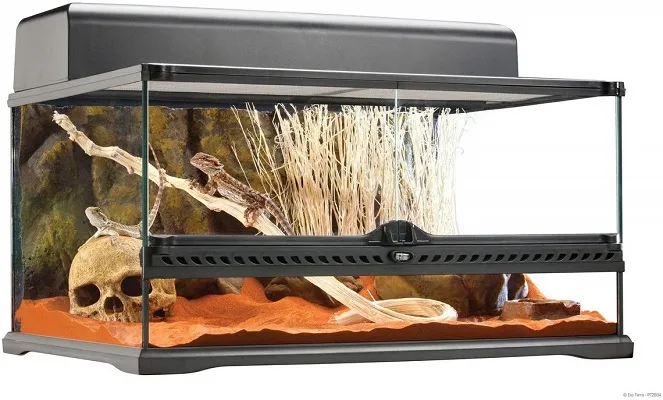 23492 tarantula size enclosure