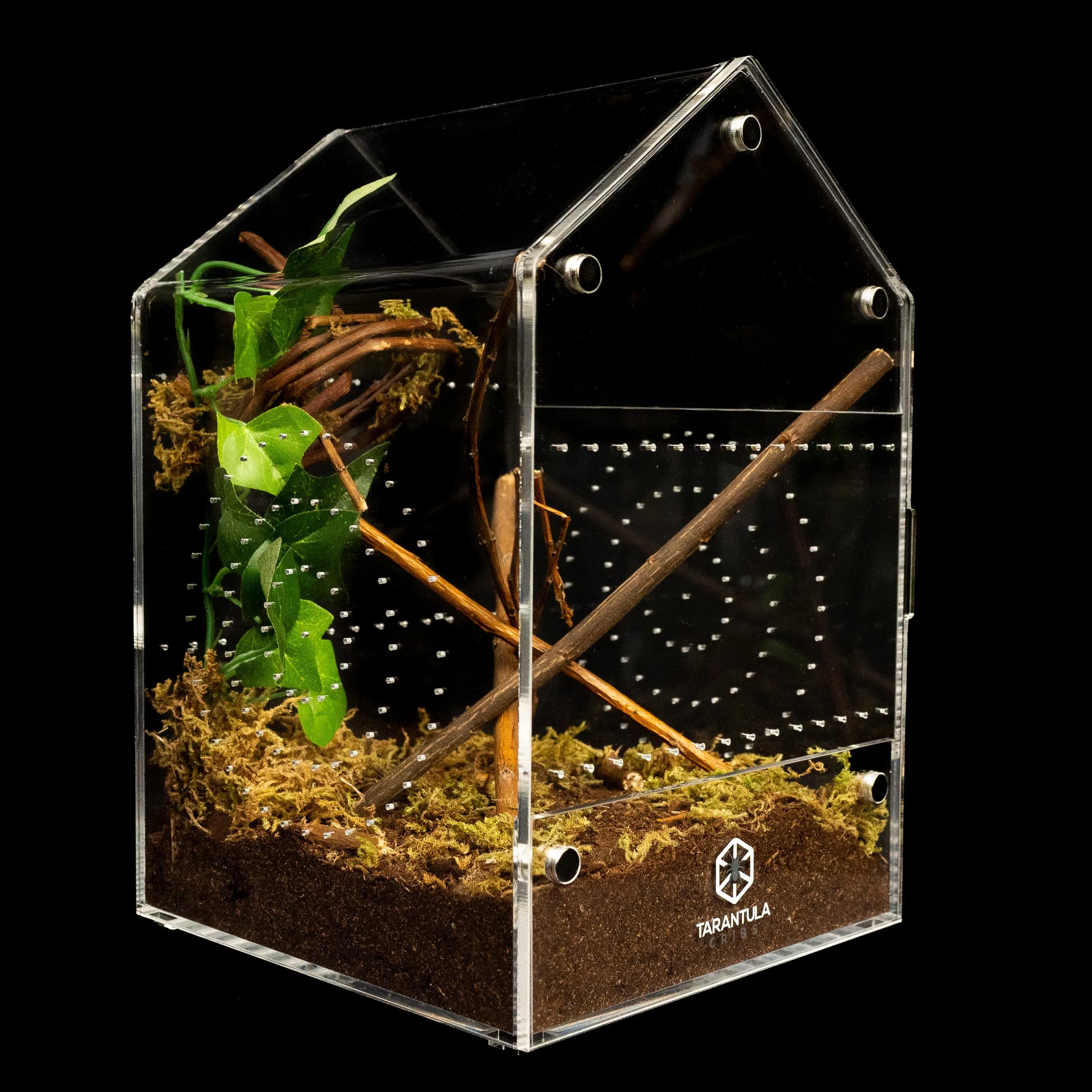 23492 tarantula temperature