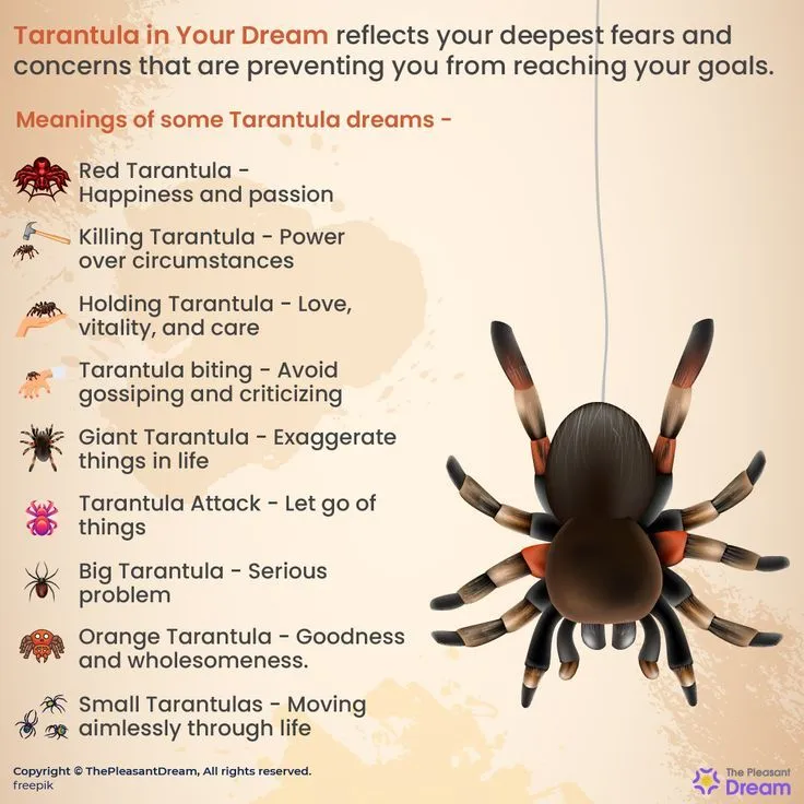 23494 dream transformation