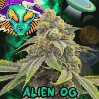 /img/23498-alien-tarantula-effects.webp