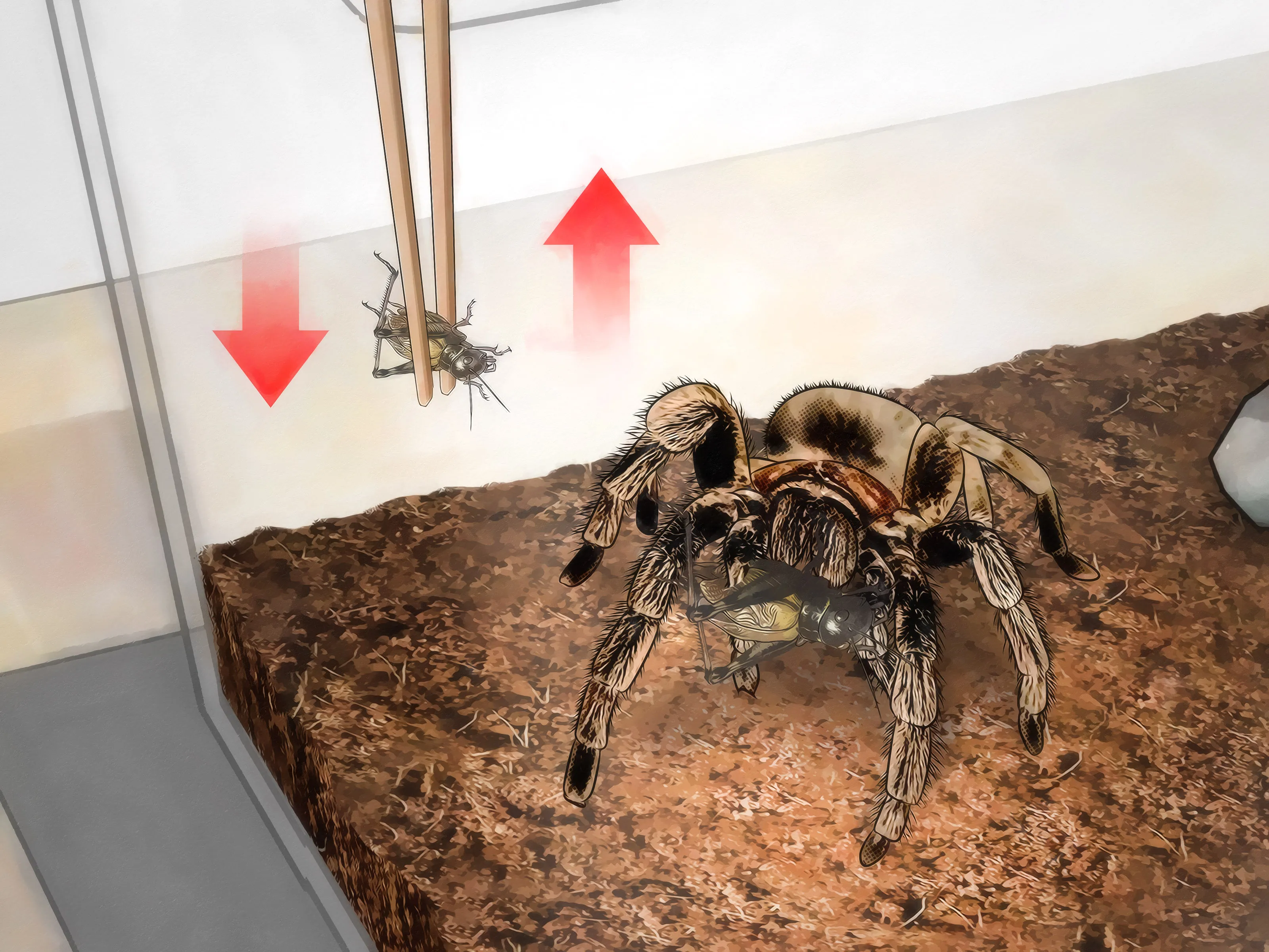 23504 fast eating tarantula