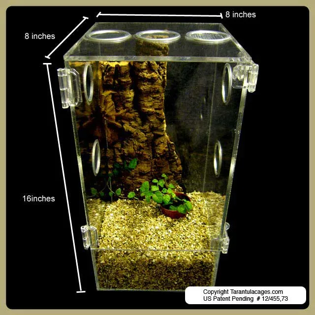23521 tarantula cage humidity