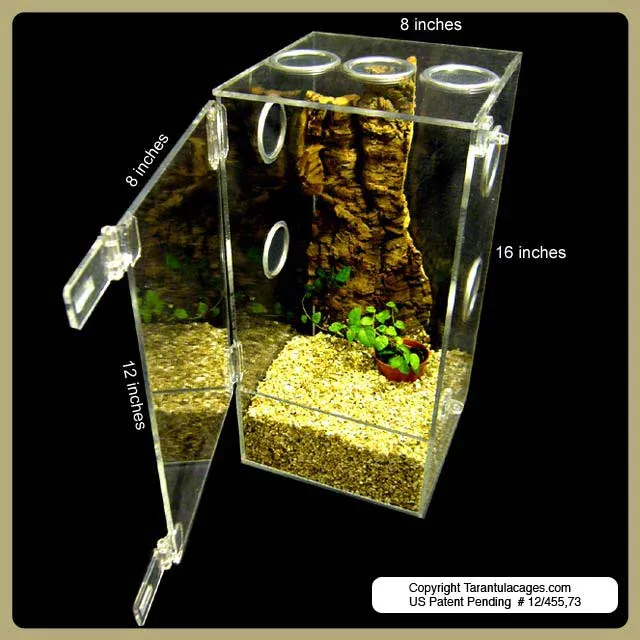 23521 tarantula cage ventilation