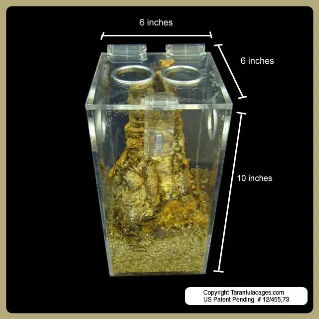 /img/23521-tarantula-cages-selection.webp