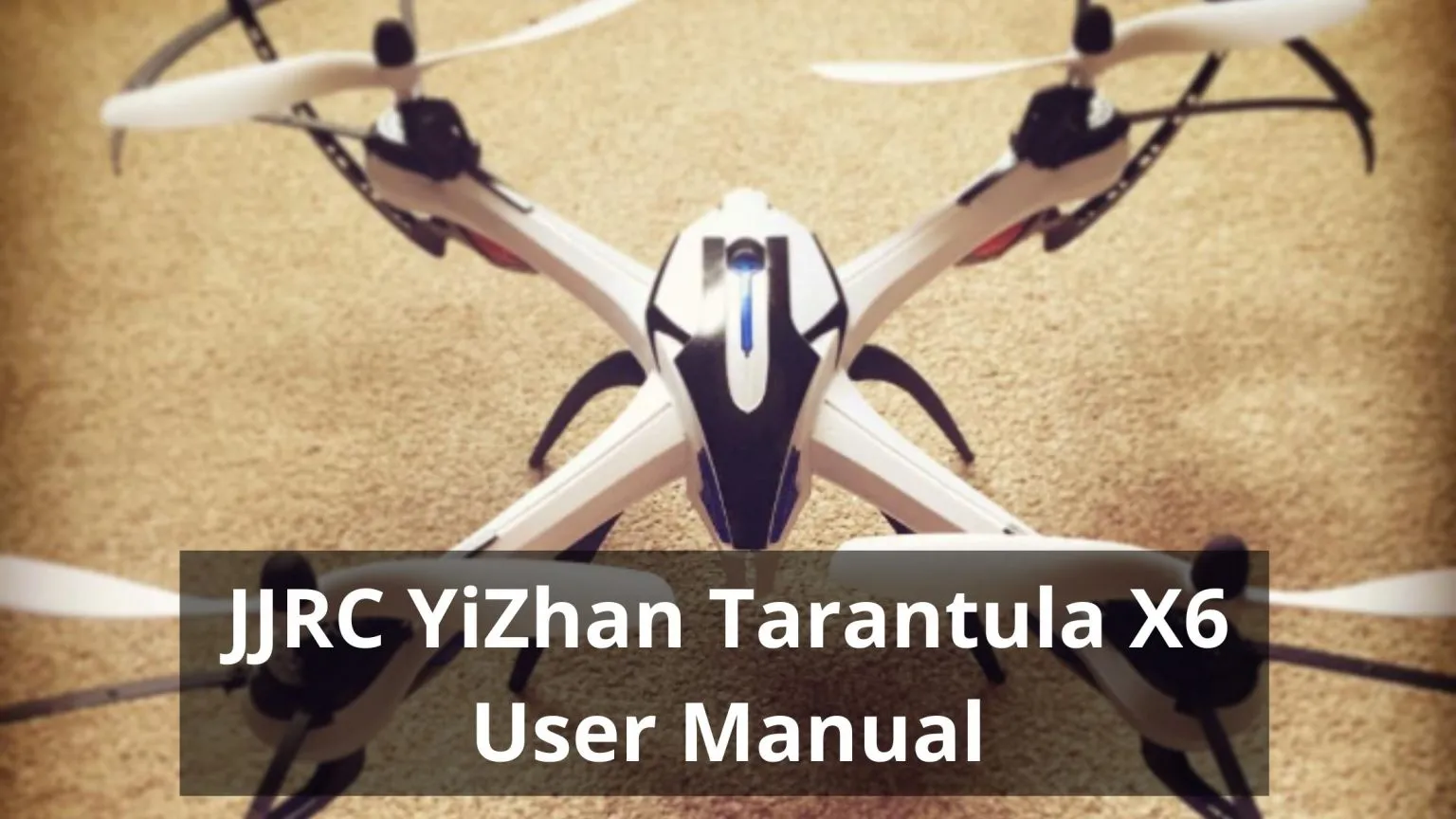 23522 tarantula image5