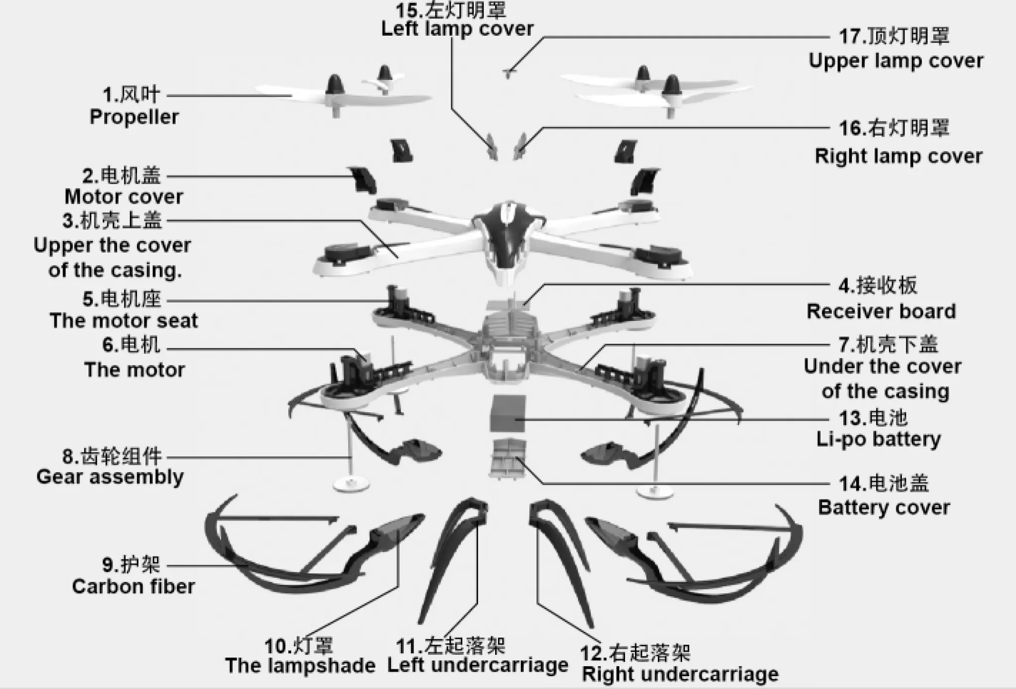 23522 tarantula image6
