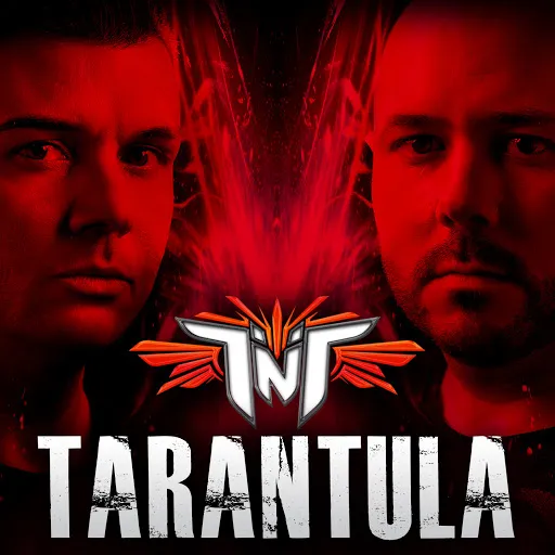 23523 tarantula song composition