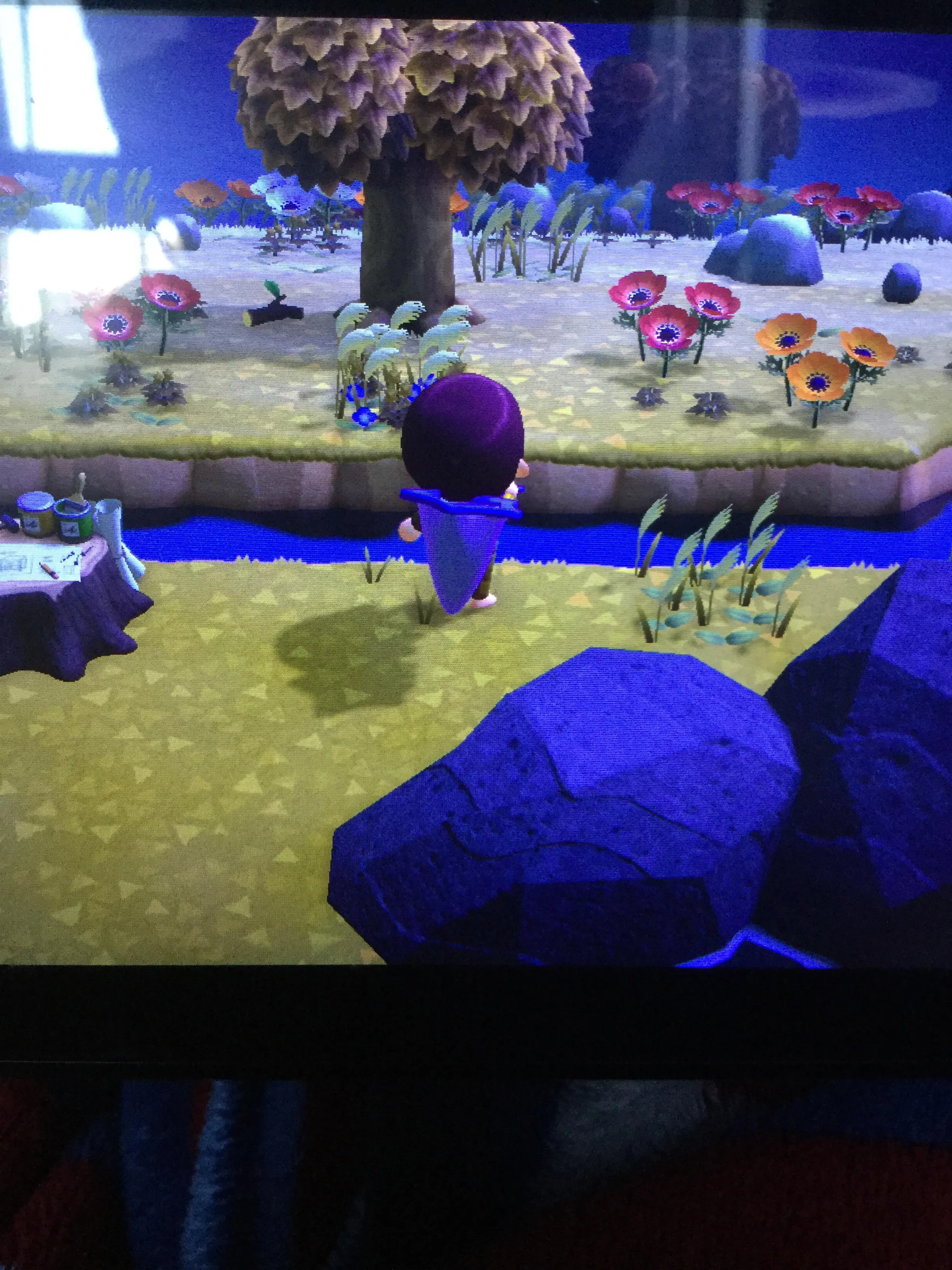 23530 animal crossing airport