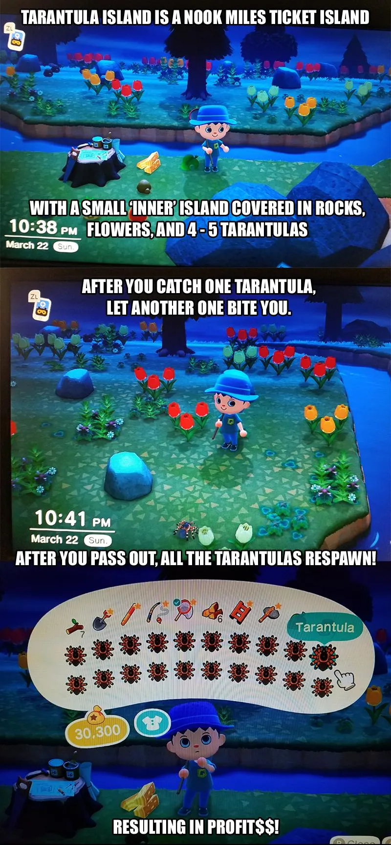 23530 animal crossing nook miles ticket
