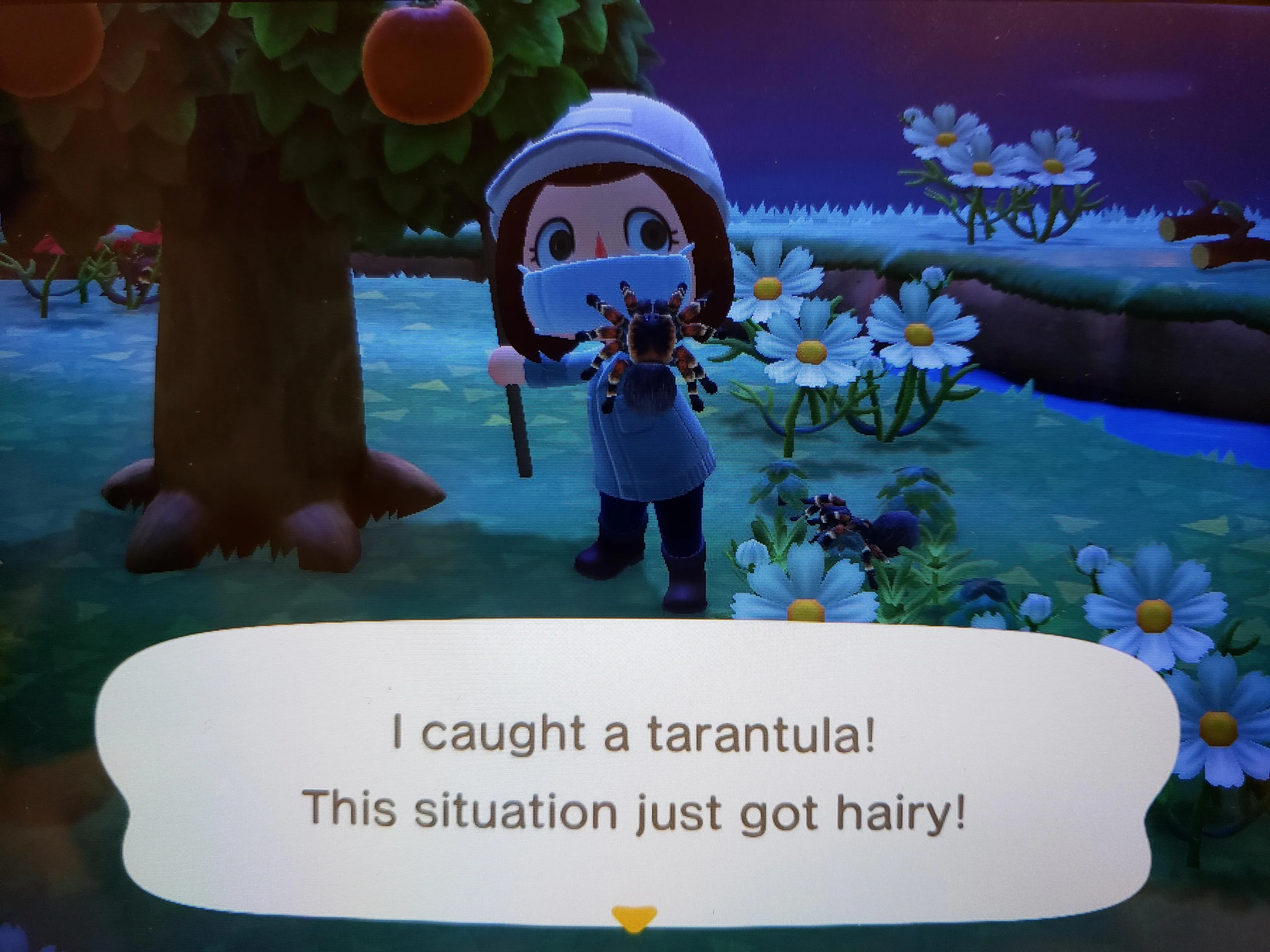 23530 animal crossing tarantula island prep