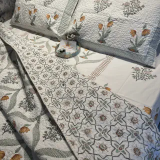 /img/23535-tarantula-bedding-mistakes.webp