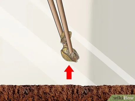 /img/23539-healthy-tarantula.webp
