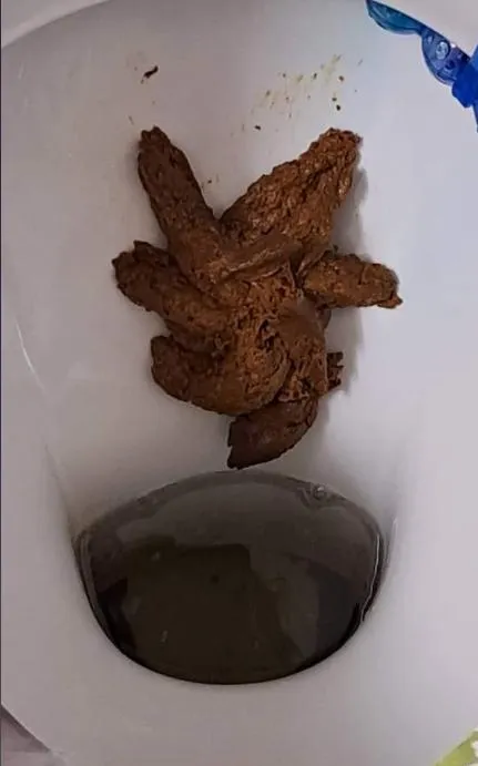 23539 tarantula poop identification