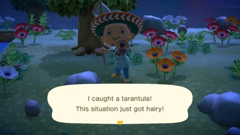 23541 animal crossing net