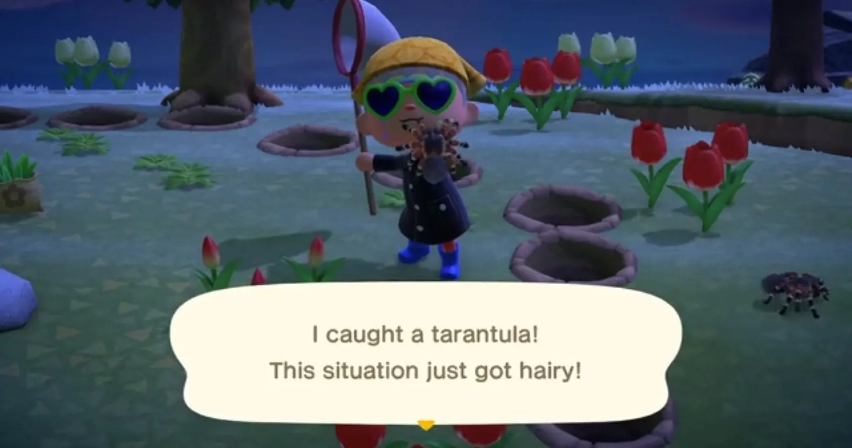 23541 animal crossing tarantula approach