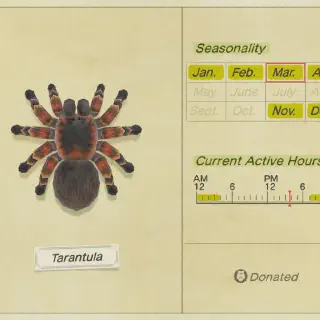 /img/23541-animal-crossing-tarantula-bite.webp