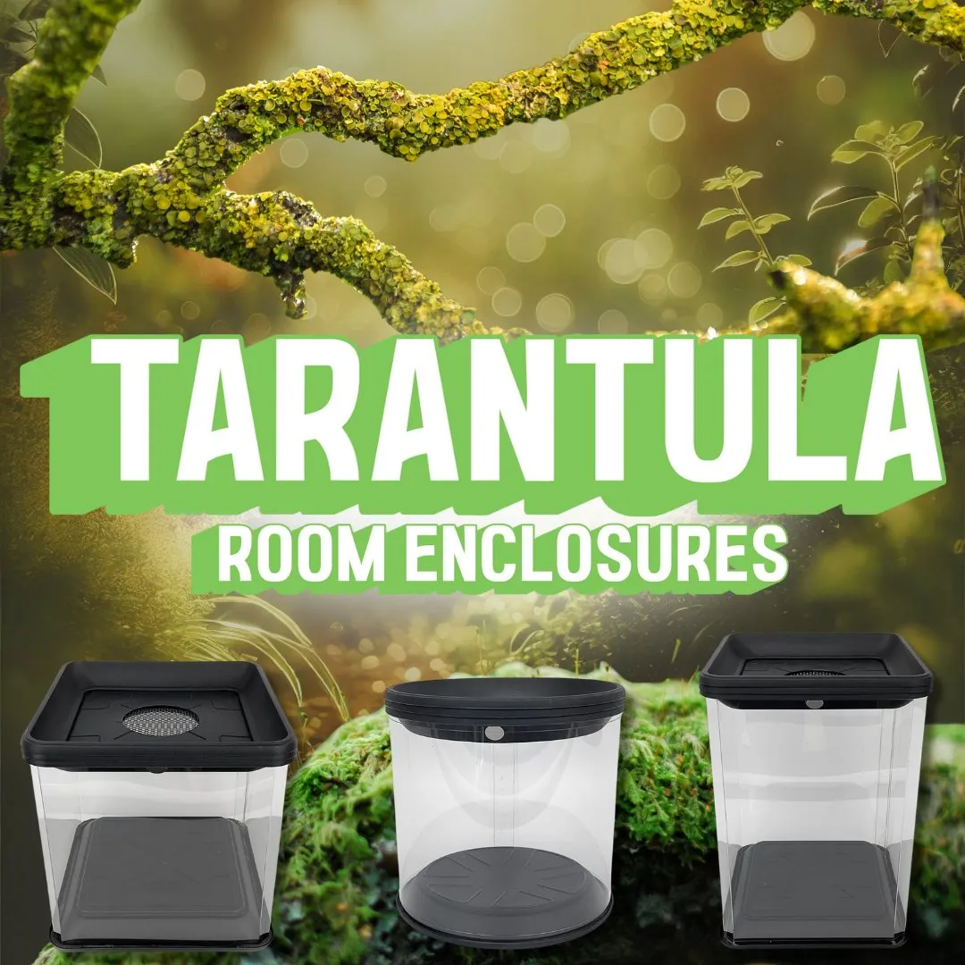 23544 tarantula substrate