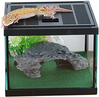 23544 tarantula ventilation