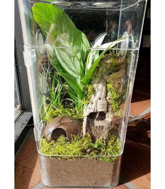 23549 tarantula enclosure setup